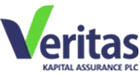 veritas-llogo